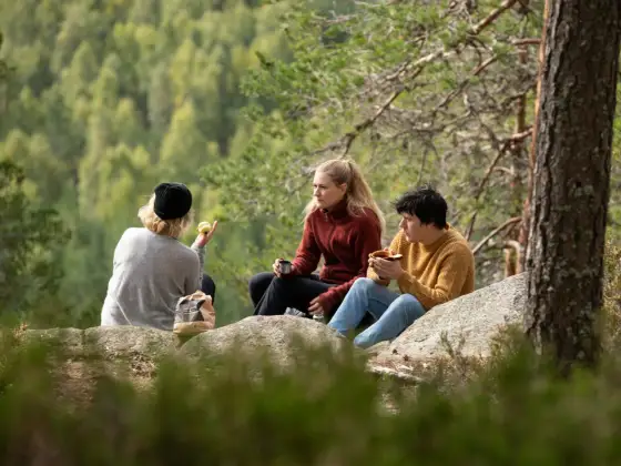 Boendet i Undersvik - Din guide till natur & flexibel vistelse