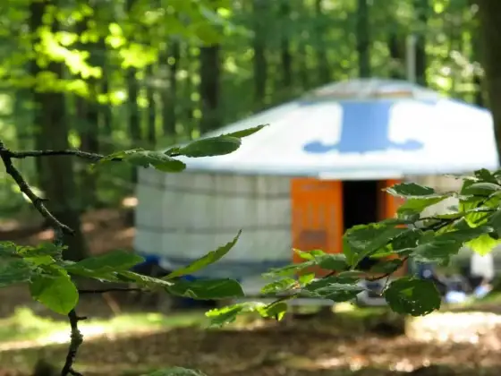 Nyrups Naturhotell - Glamping i bokskogen nära Höör
